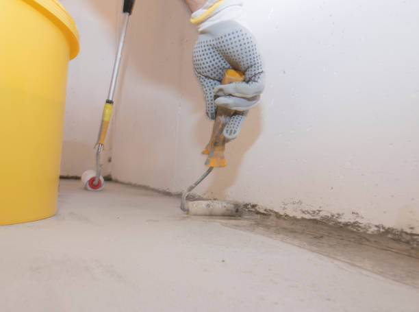 Best Pest Exclusion Services  in Canfield, OH